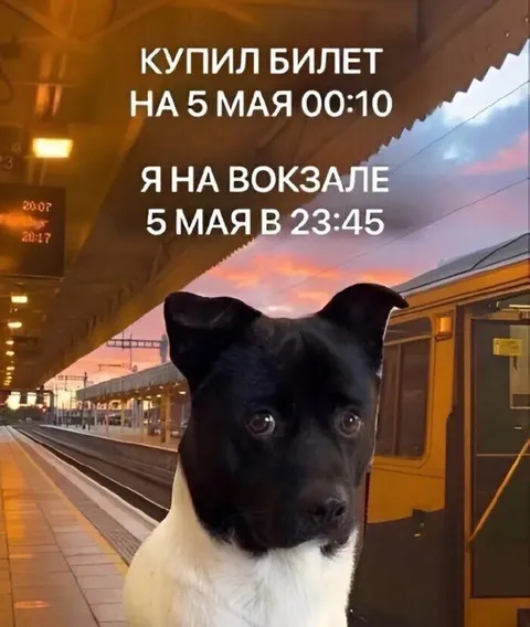 Опоздал на поезд