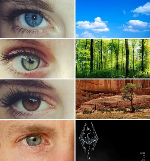 Eyes See Skyrim Landscapes