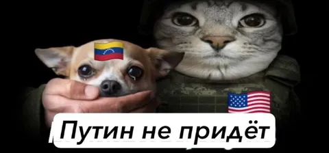Путин не придёт