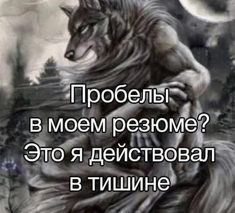 Пробелы в моем резюме