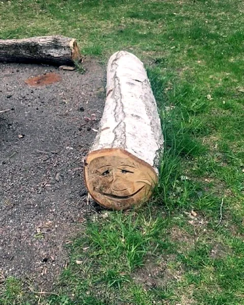 Улыбающееся бревно