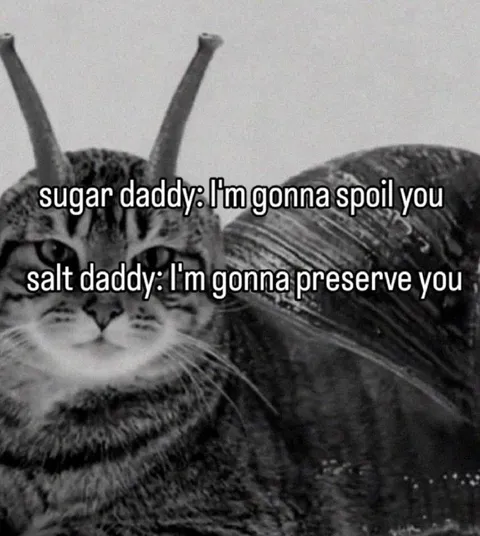 Salt Daddy Preserves You