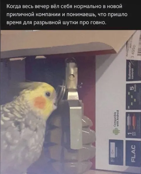 Время для разрывной шутки