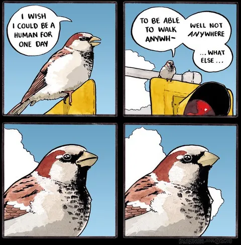 Sparrow Wants to Be Human