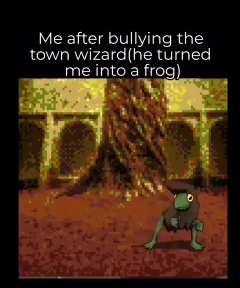 Bullied the Town Wizard