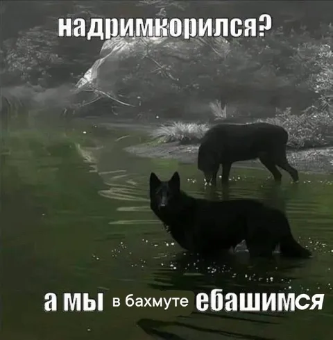 А мы в Бахмуте ебашимся