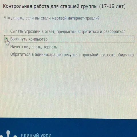Контрольная работа про интернет-травлю