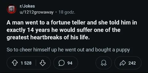 Fortune Teller Puppy Heartbreak Joke