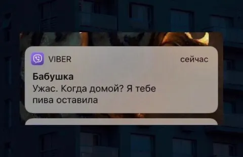 Бабушка оставила пива