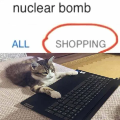 Cat Chooses All Shopping