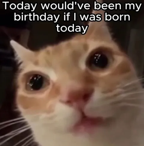 Birthday If I Was Born Today