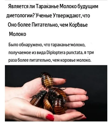 Тараканье молоко будущего