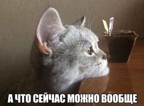 А что сейчас можно вообще