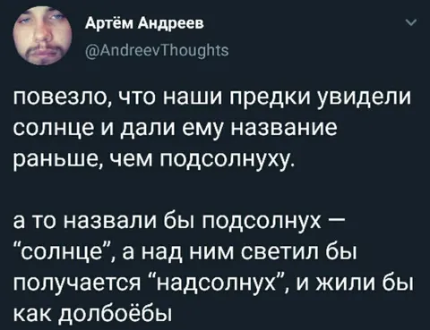 Если бы подсолнух назвали надсолнухом