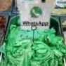 WhatsApp в арбузном безумии