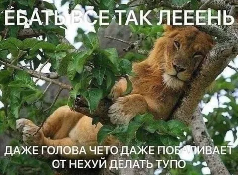 Леву даже голова побаивает