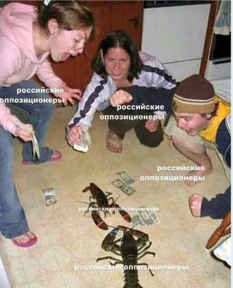 Российские оппозиционеры делят еду