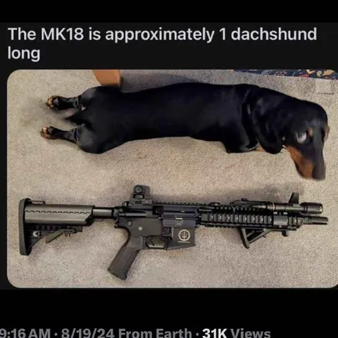 MK18 One Dachshund Long