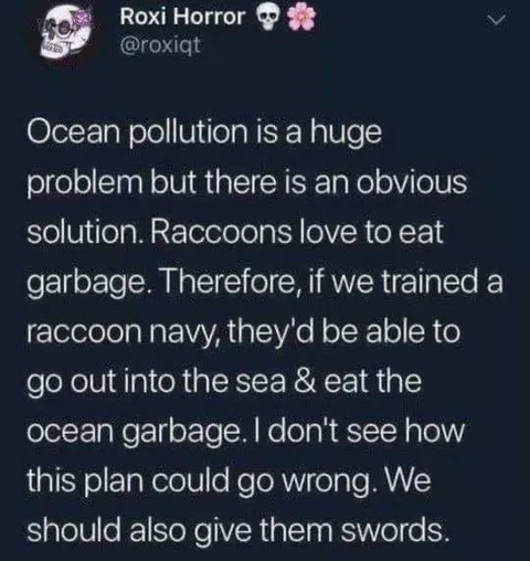 Raccoon Navy Solution