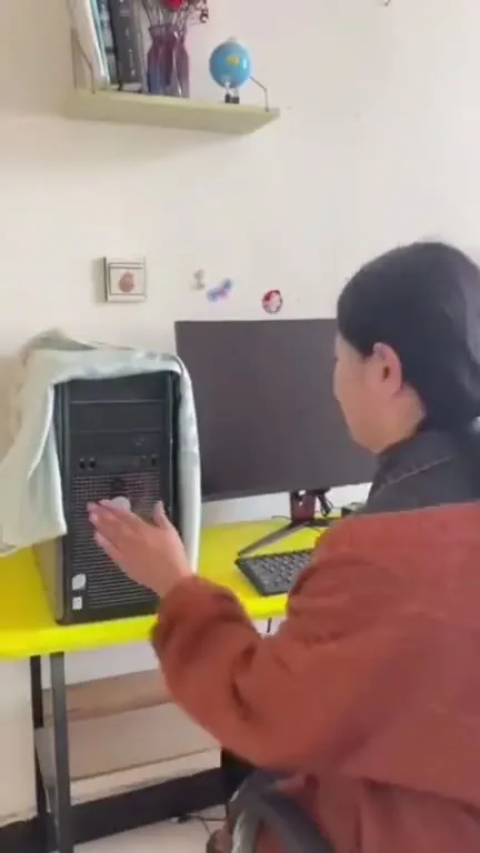 Rooster Inside the Computer