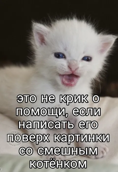 Это не крик о помощи