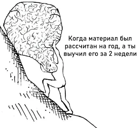 Выучил материал за две недели