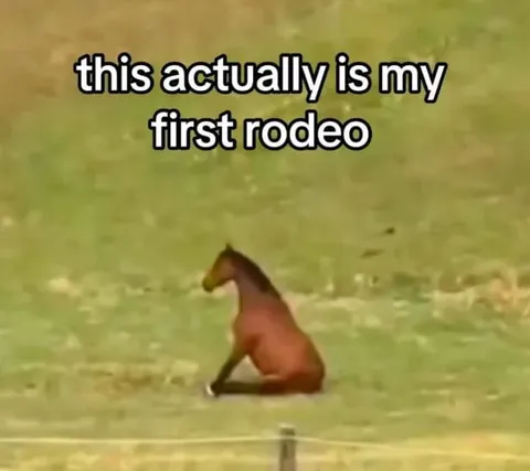 My First Rodeo