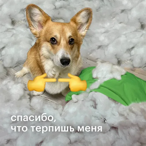 Спасибо, что терпишь меня