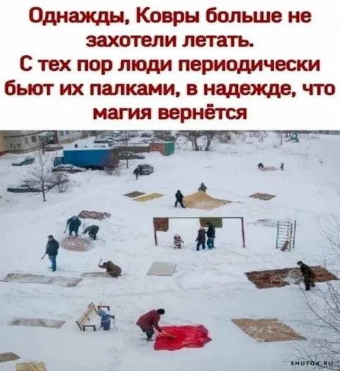 Вороны больше не летают