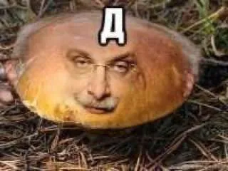 Гриб с лицом и буквой Д