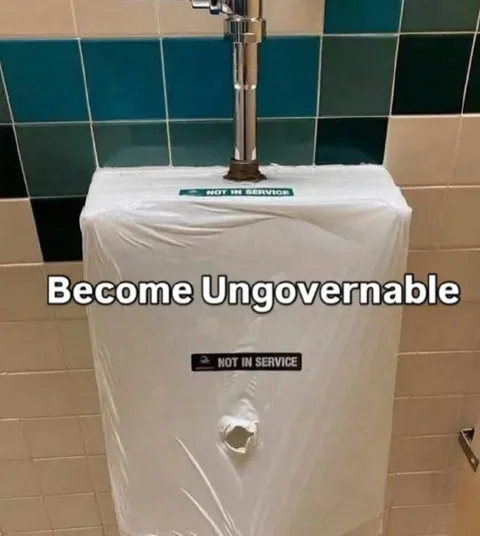 Become Ungovernable Toilet