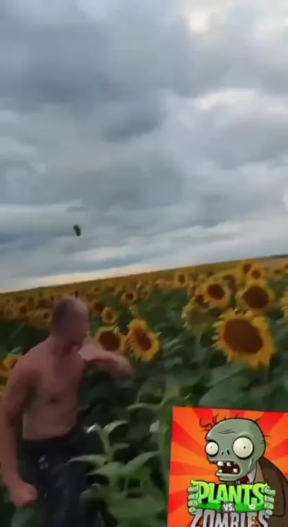 Man Battles Sunflowers Like Zombies