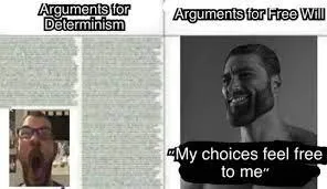 Arguments for Free Will