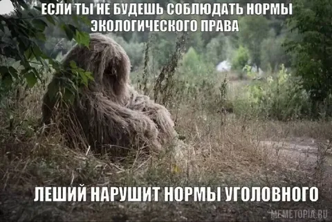 Леший нарушит уголовный кодекс