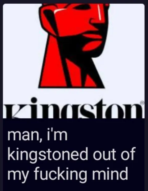 Kingston Out of My Mind