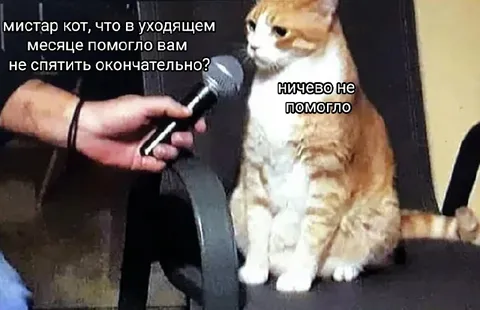 Кот ничего не смог изменить