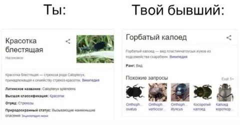 Ты и твой бывший