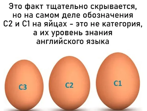Уровень английского на яйцах