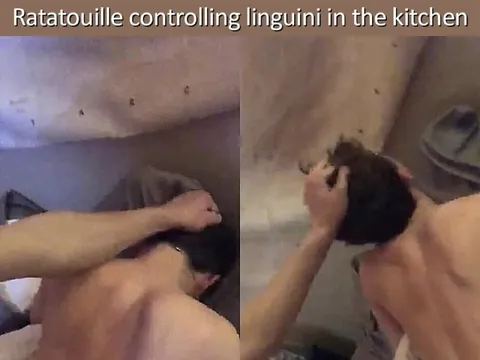 Ratatouille Controlling Linguini