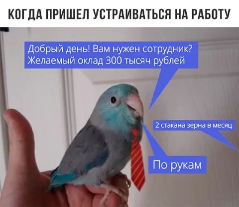 Когда пришел устраиваться на работу