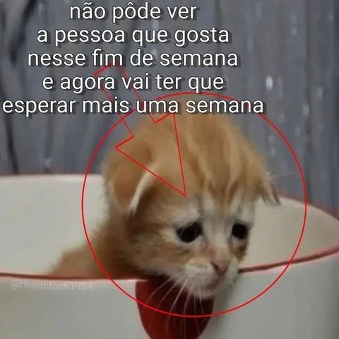 Esperar mais uma semana