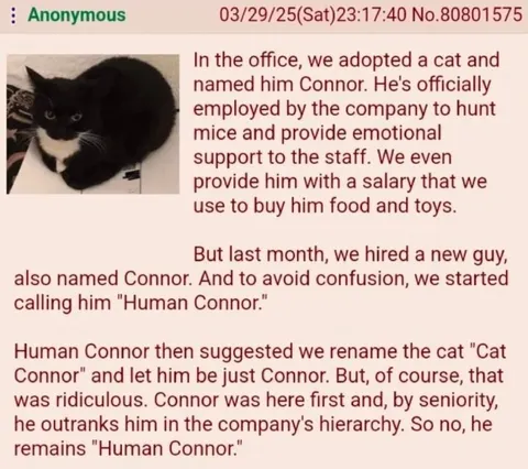 Human Connor Outranks Cat Connor