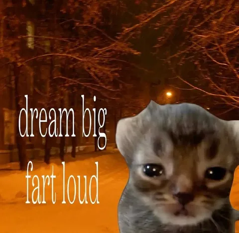 Dream Big Fart Loud