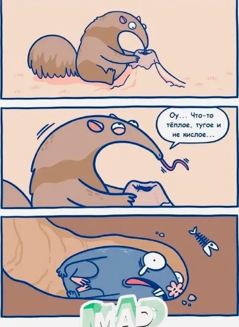 Бобр нашёл тёплое и тугое