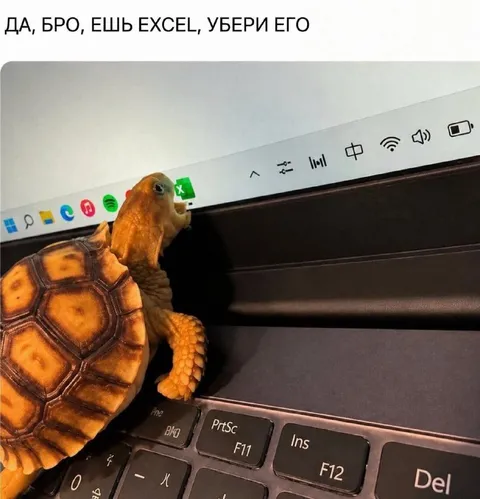 Черепаха ест Excel