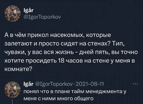 Насекомые и тайм-менеджмент
