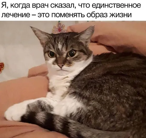Единственное лечение — поменять образ жизни