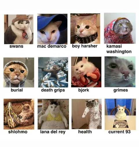 Коты-двойники музыкантов