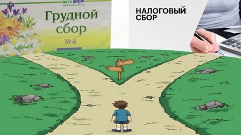 Грудной сбор или налоговый сбор