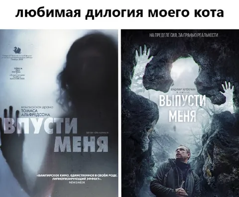 Любимая дилогия кота